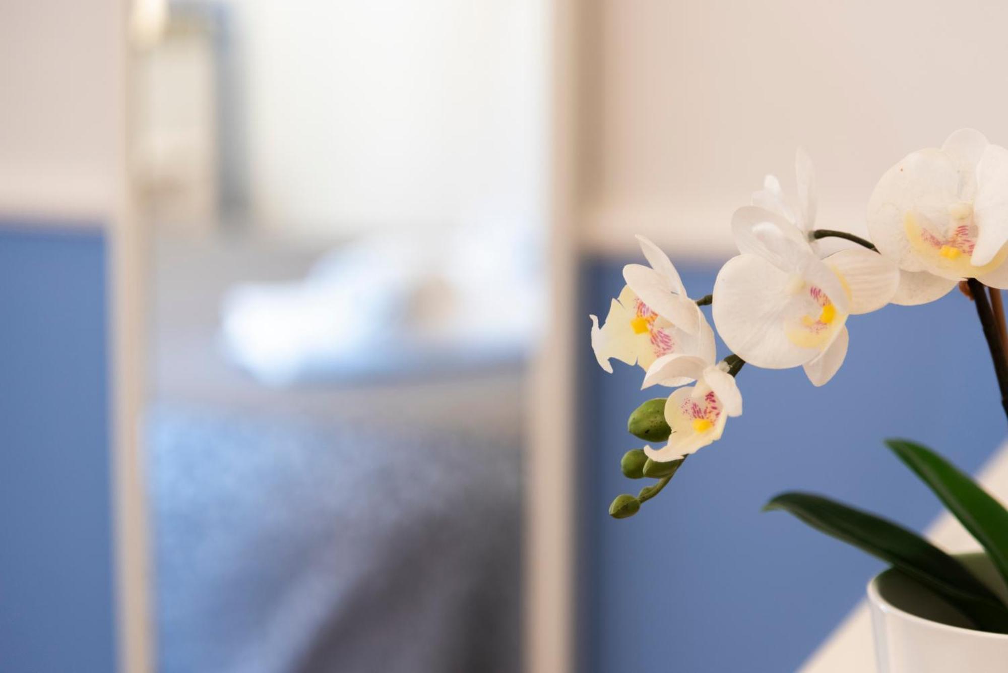Gregorios San Pietro Hotel Rom Eksteriør billede